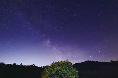 THE 剛腕HASH村 写真5