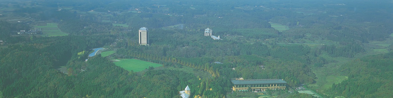 リソルの森 写真3